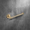LP Series Towel Ring Brushed Gold TR932005