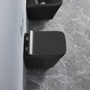 Wall Hung Toilet Black BL 17052WT-UQ