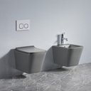 Wall Hung Toilet Grey BL 17052WT-UQ