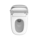SWC-8842 Smart Toilet H8 Series