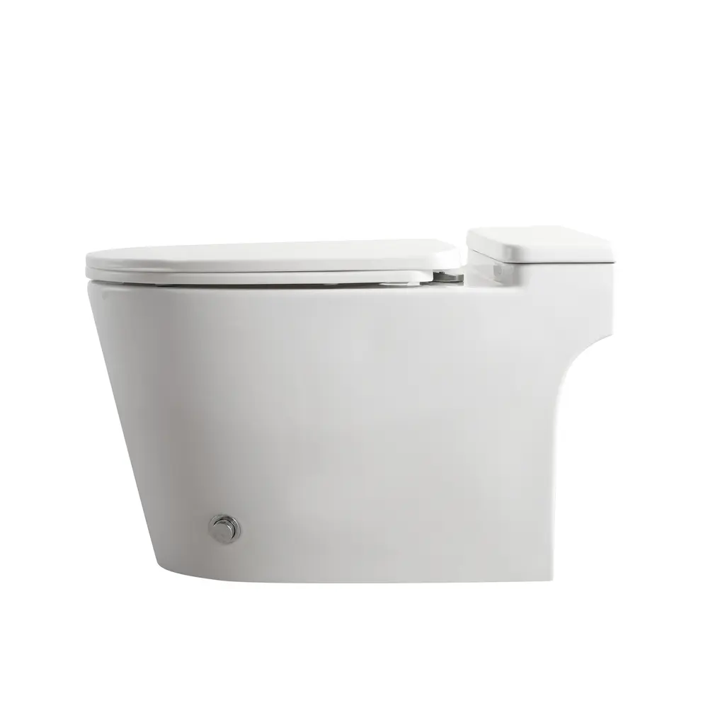 One Piece Toilet BL-TS003