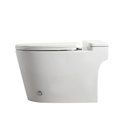 One Piece Toilet BL-TS003