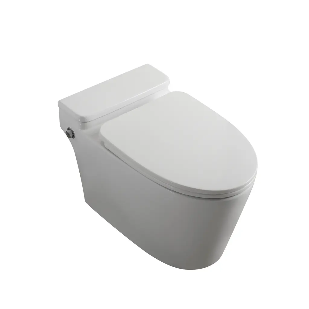 One Piece Toilet BL-TS003