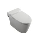 One Piece Toilet BL-TS003