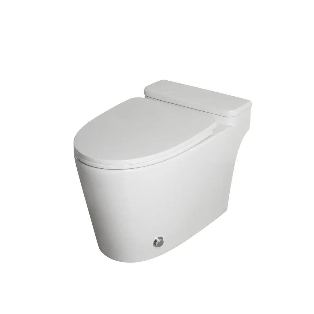 One Piece Toilet BL-TS003