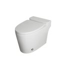 One Piece Toilet BL-TS003