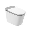 SWC-8842 Smart Toilet H8 Series