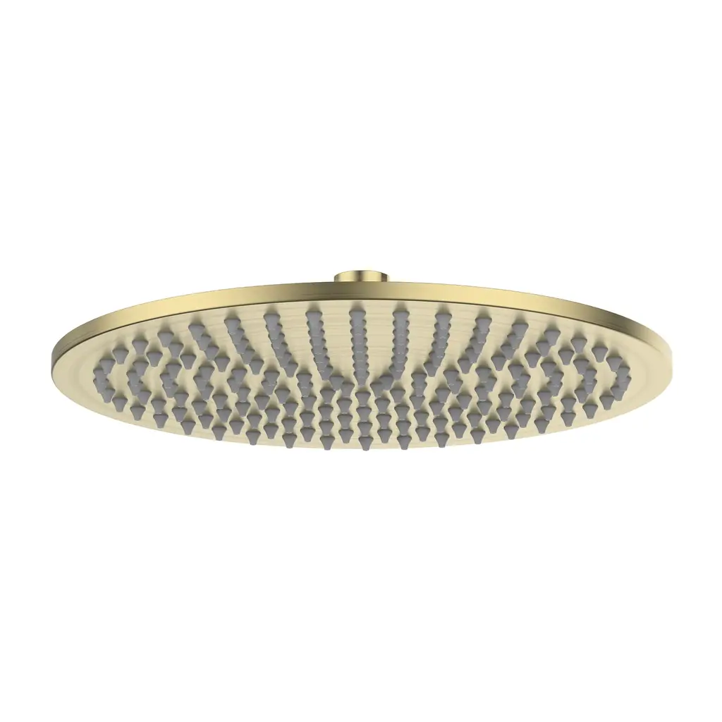 Rain Shower Round Brass Brushed Gold RS 862202-250 BG