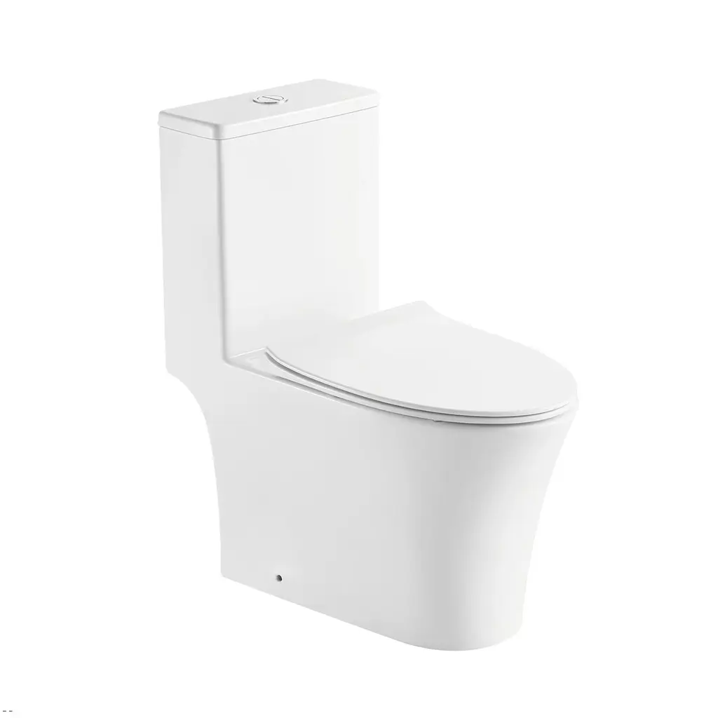 One Piece Toilet Washdown 250mm BL-8220
