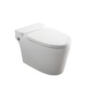 One Piece Toilet BL-TS003