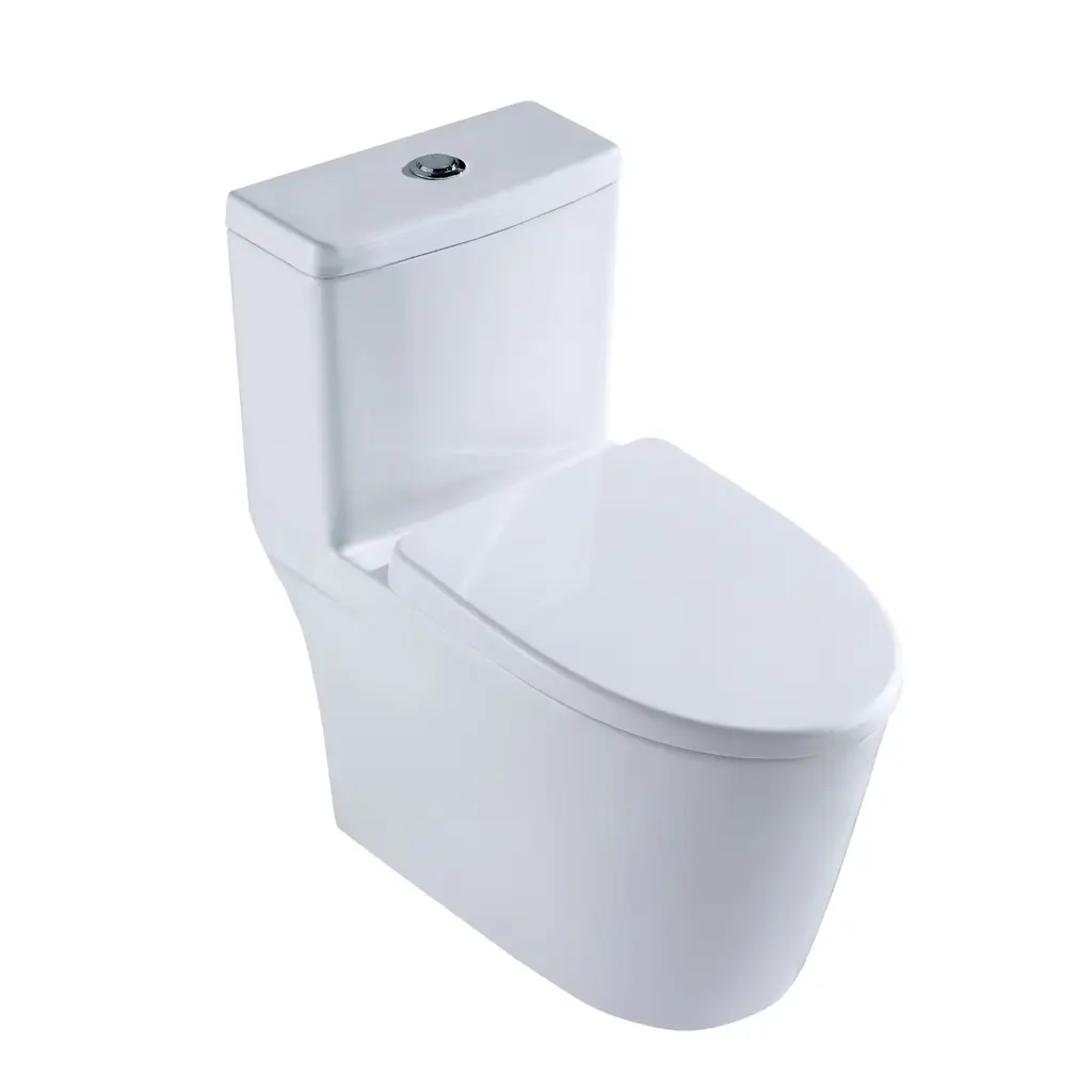 One Piece Toilet BL-96202
